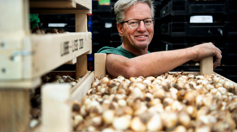 Interview with the grower John Huiberts